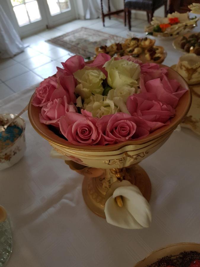 Michael-Angelo Guest House 波切夫斯特鲁姆 外观 照片